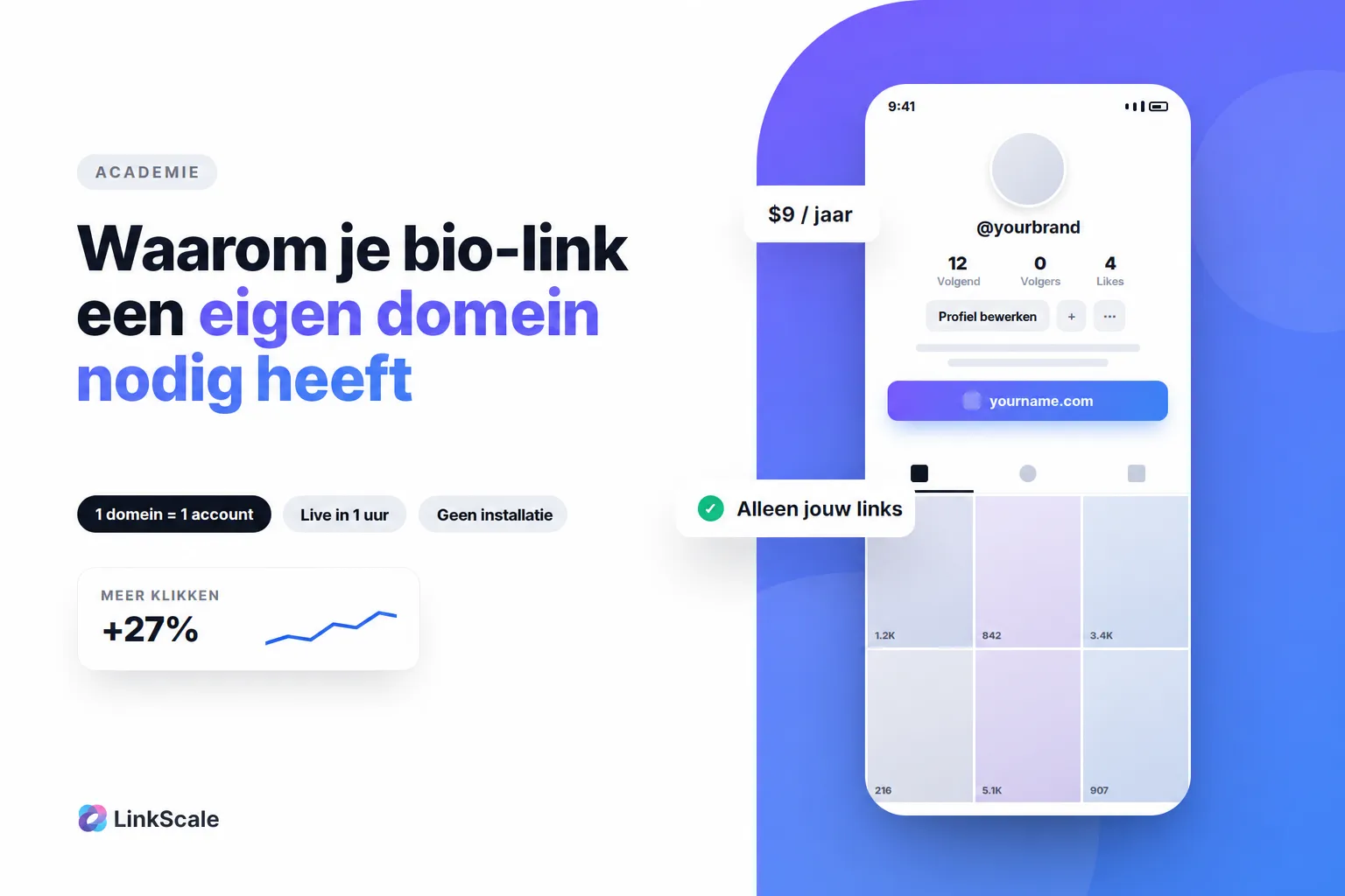 Waarom een eigen domein gebruiken voor je biolinks?