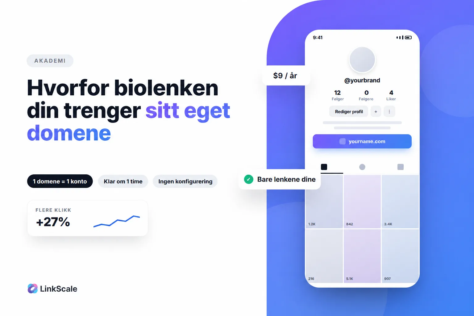 Hvorfor bruke et eget domene for biolenkene dine?
