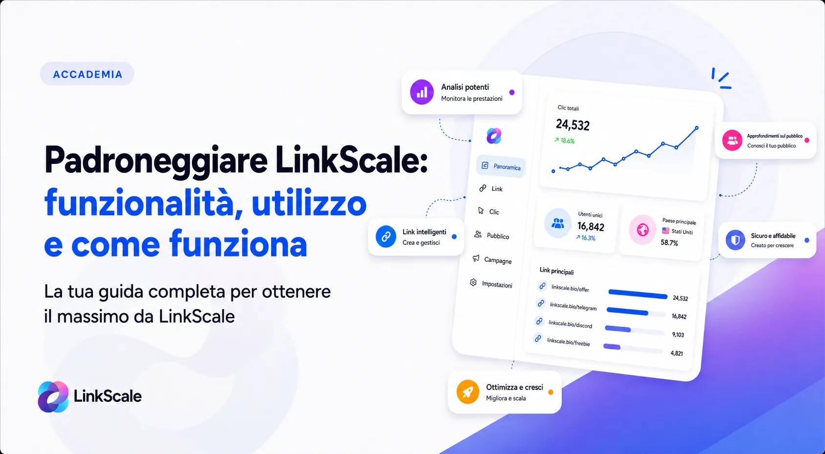 Padroneggiare LinkScale: funzionalità , utilizzo e funzionamento
