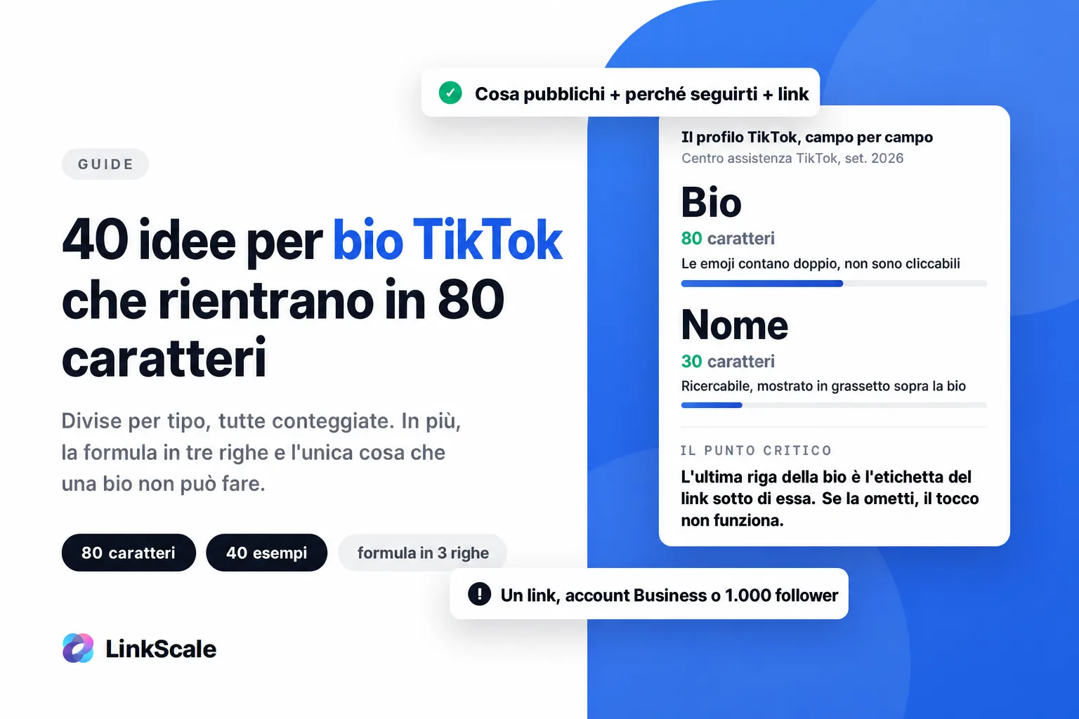 Idee per bio TikTok: 40 esempi entro 80 caratteri (2026)